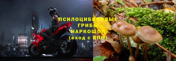 стаф Армянск