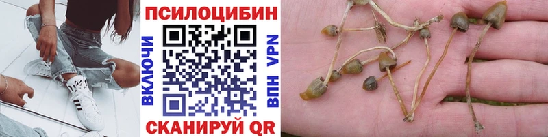 МЕГА зеркало  Покачи  Галлюциногенные грибы MAGIC MUSHROOMS 